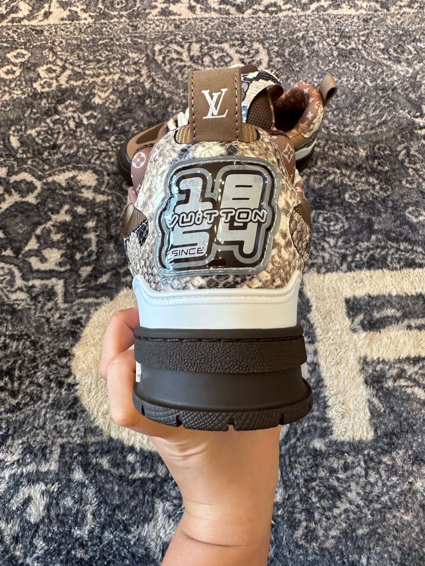 Louis Vuitton LV Trainer Brown Skate Sneaker