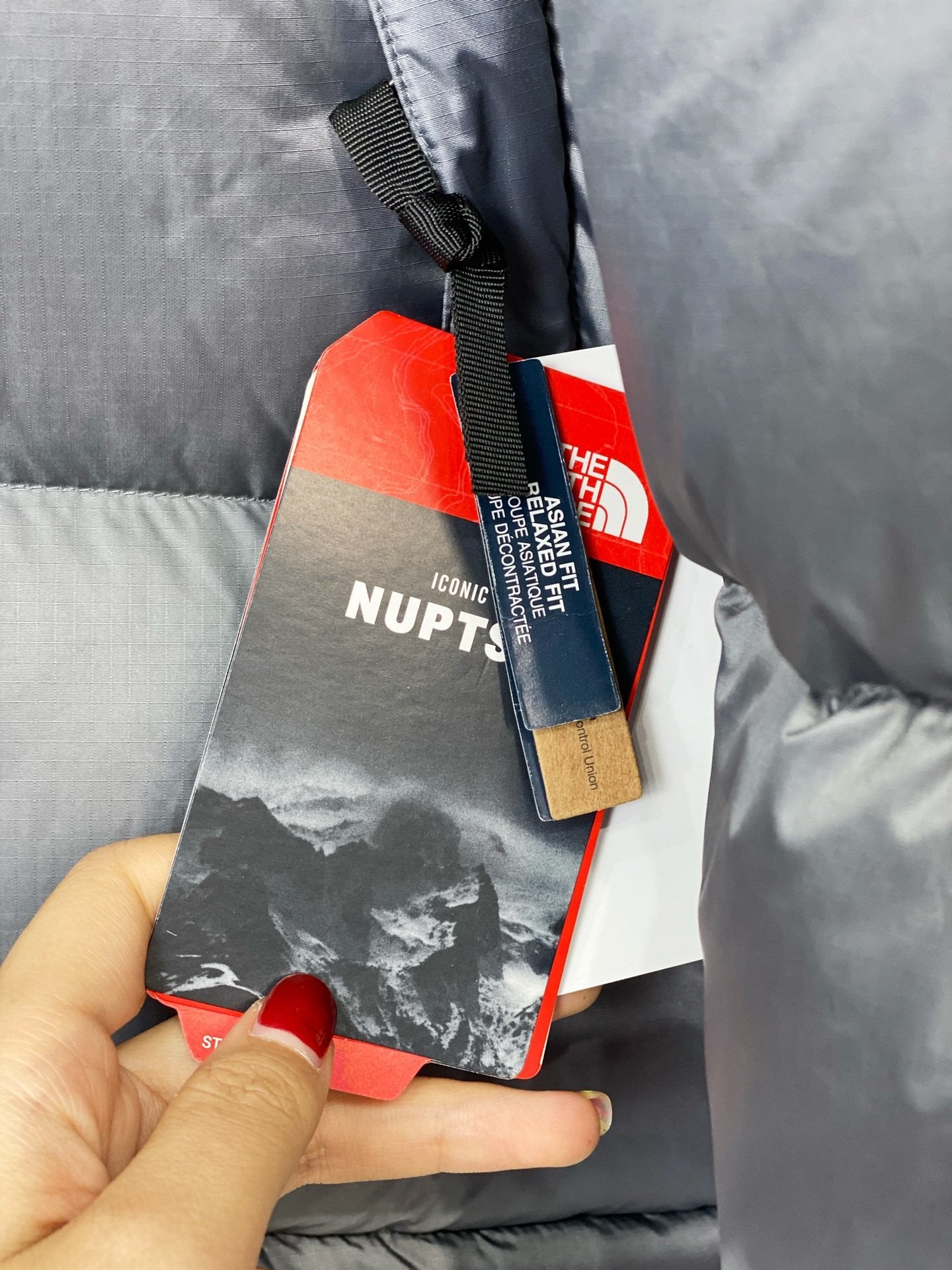 North Face-inspired 1996 Retro Nuptse Silver Black Jacket