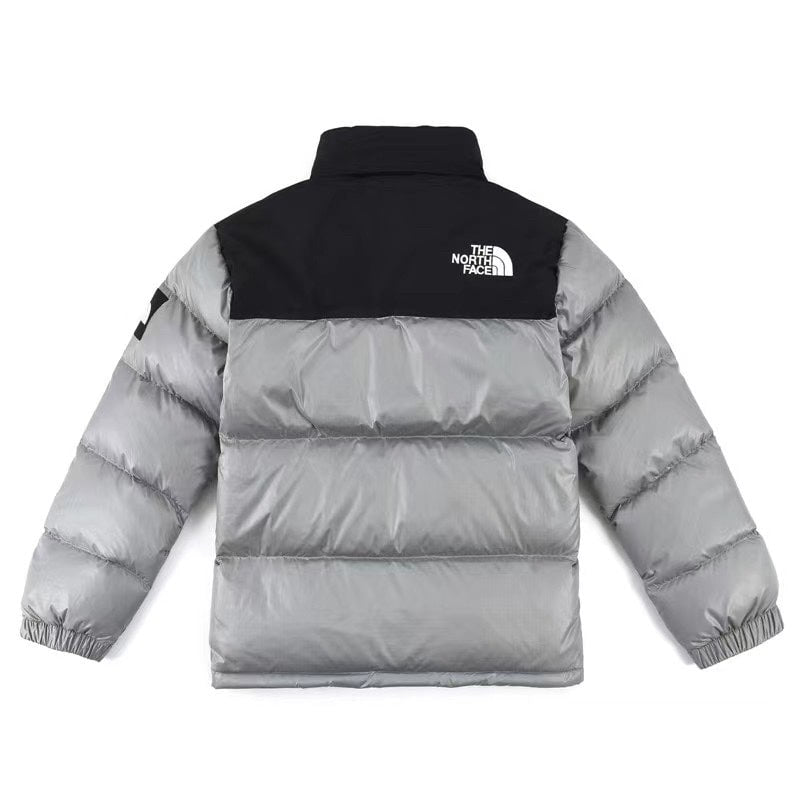 North Face 1996 Retro Nuptse Silver Down Jacket